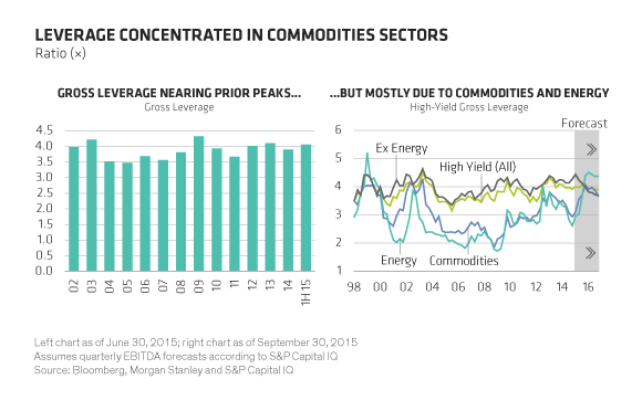 Leverage Concentrated In Commodities Sectors